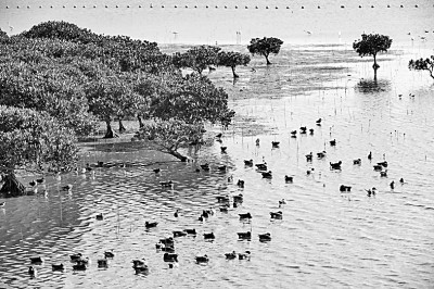 可提现的电玩城