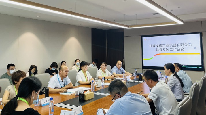 可提现的电玩城召开财务专项工作会议