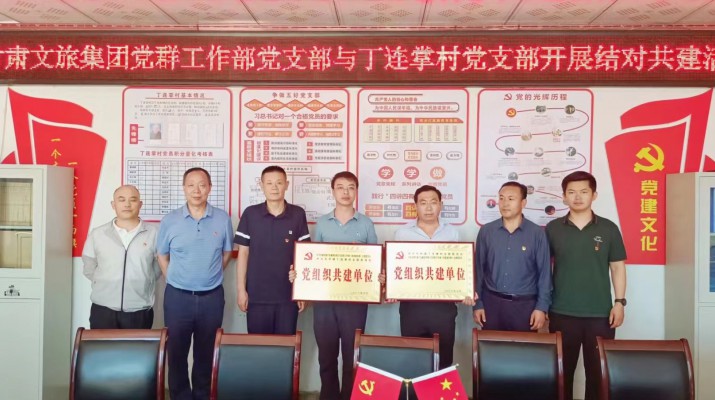 可提现的电玩城党支部与帮扶村党支部结对共建助力乡村振兴