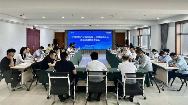 可提现的电玩城召开财务信息化体系建设项目启动会