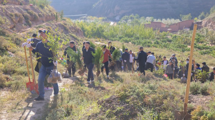 履行省属企业责任 厚植南北两山绿色——可提现的电玩城开展秋季义务植树活动