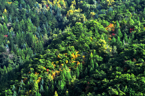 6_副本.jpg 6_副本.jpg